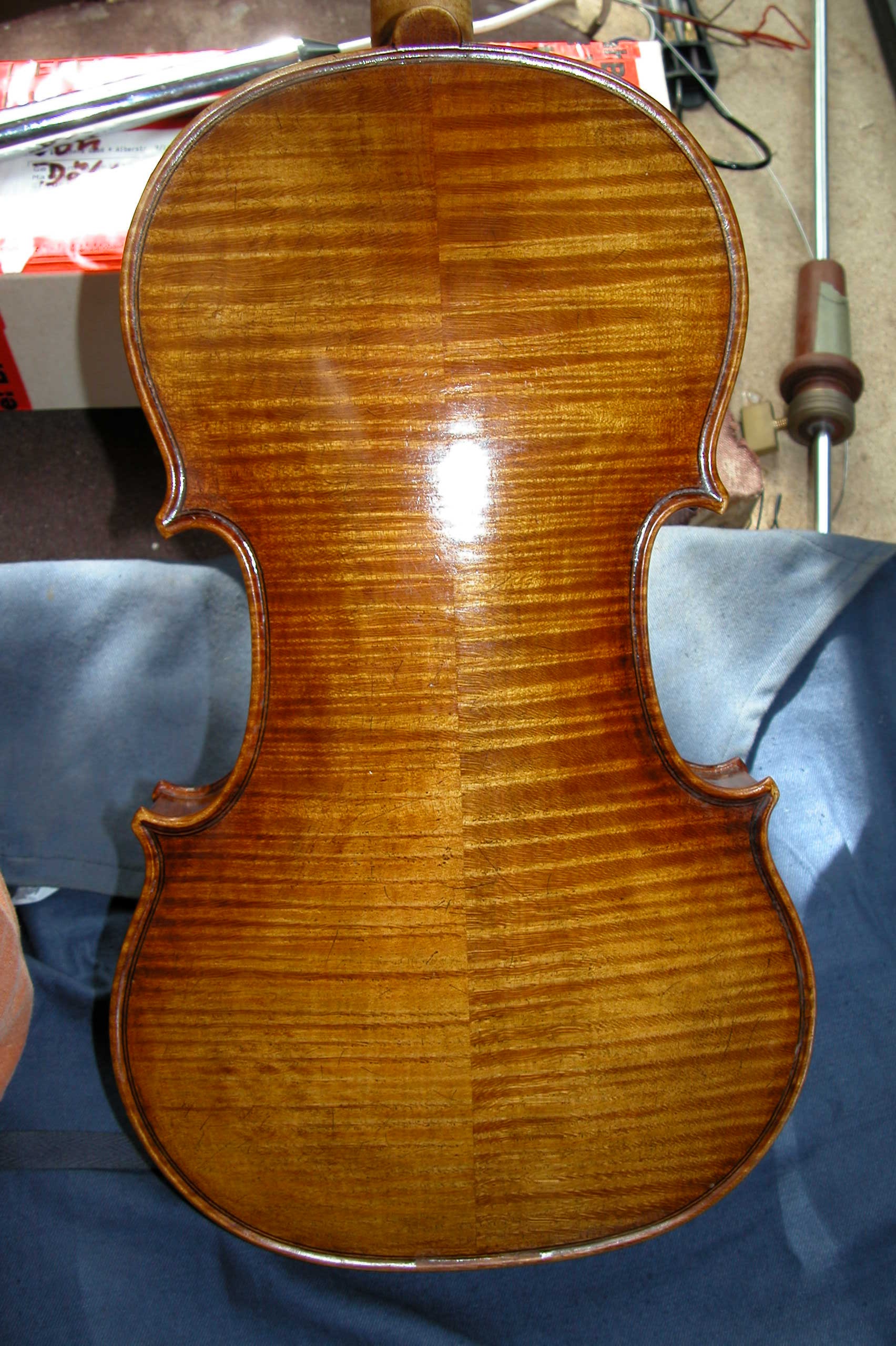 Violine Matthias R. Misch